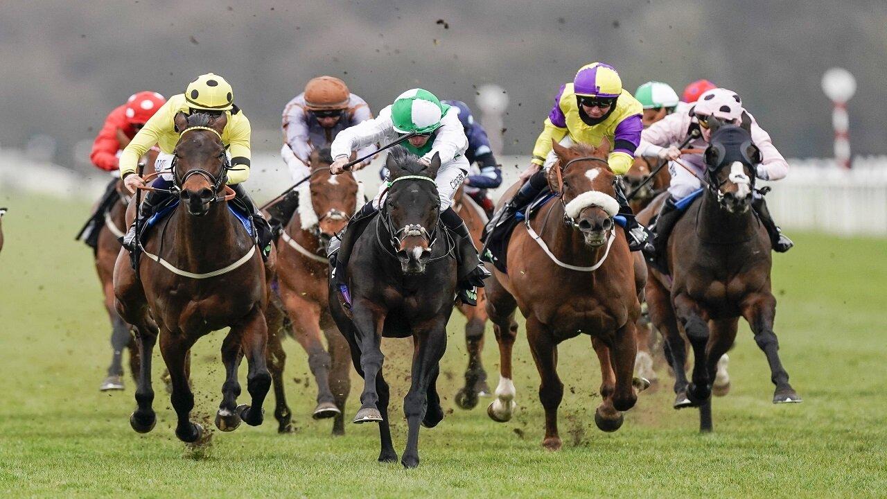 Doncaster St Leger Festivali