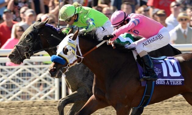 Breeders' Cup Del Mar