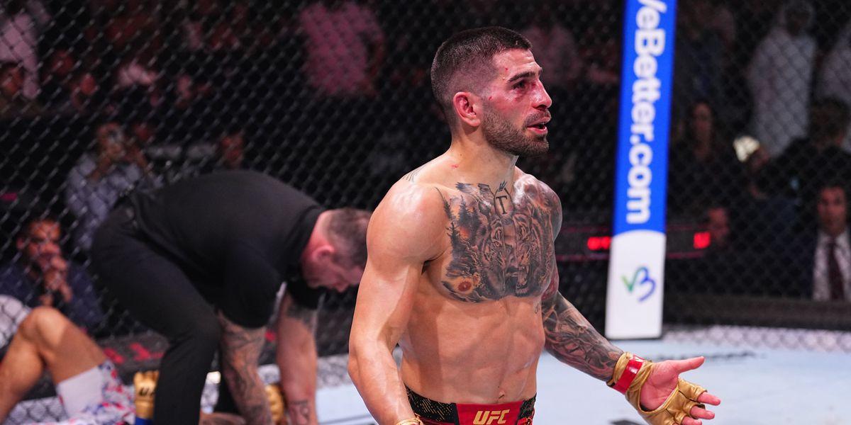 Ilia Topuria vs Islam Makhachev: A potential matchup between two MMA champions, analyzing their strategies, strengths, and weaknesses, and what this fight means for the future of UFC.