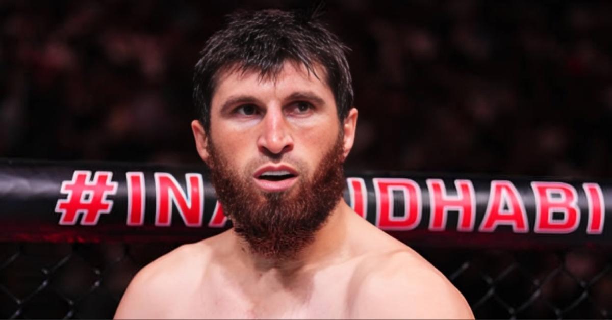 Magomed Ankalaev is preparing to face Alex Pereira at UFC 310 after his impressive win at UFC 308. Get the latest fight preview and predictions for this highly anticipated matchup.