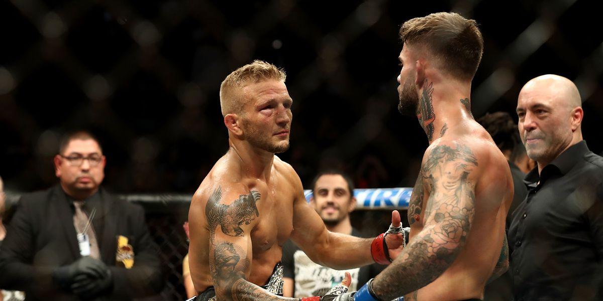 Garbrandt Dillashaw düşmanlığı, UFC tarihinde en dikkat çekici rekabetlerden biri olarak öne çıkıyor. Bu gerilim, dövüş dünyasında önemli bir yer edindi.