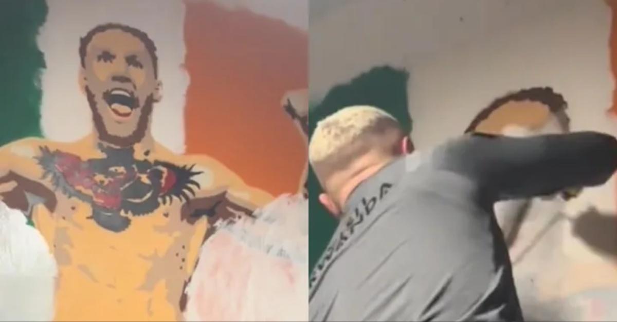 Conor McGregor's wall mural removed from Galway sports gym amidst controversy and legal issues surrounding his personal life.