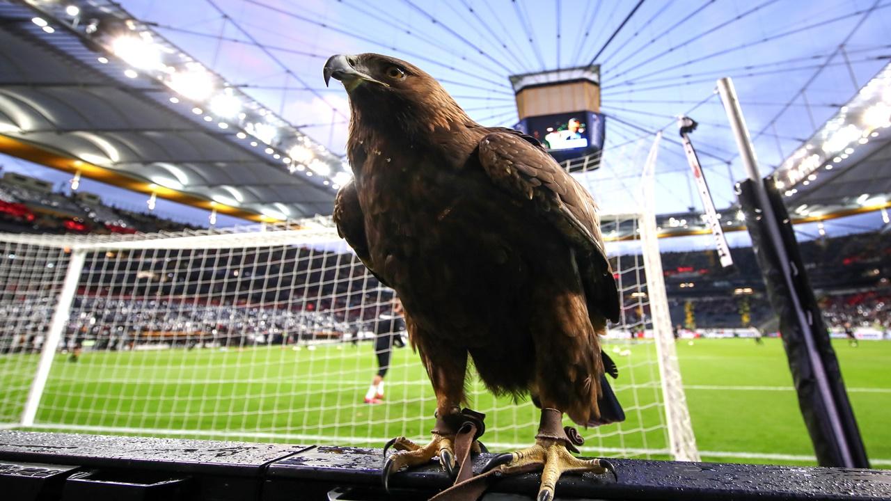 Frankfurt'ta Parlayacak Yıldız Forvetler