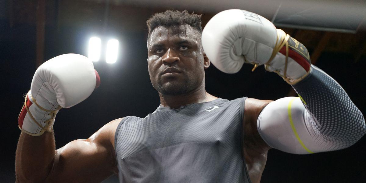 Francis Ngannou discusses his future plans, including a potential rematch with Tyson Fury and his thoughts on a fight with Jon Jones.