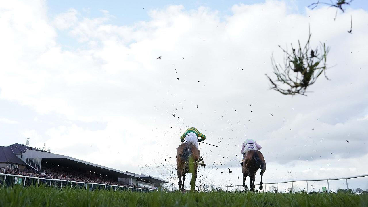 Punchestown Yarışları Tüyoları